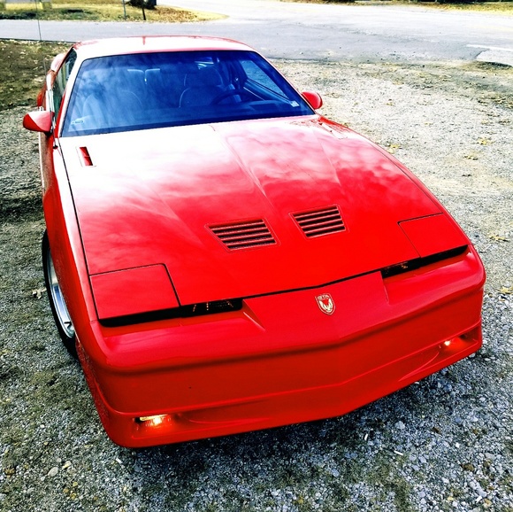 Meet your Posher, Frankie - Picture 1 of 1